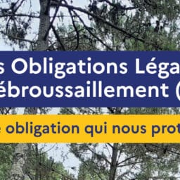 Information sur l’obligation légale de débroussaillement et proposition d’accompagnement